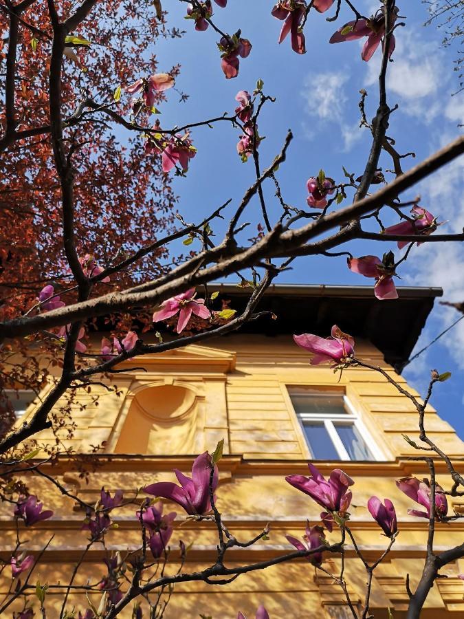 Vila Veselova, Ljubljana City Center Hostel Luaran gambar